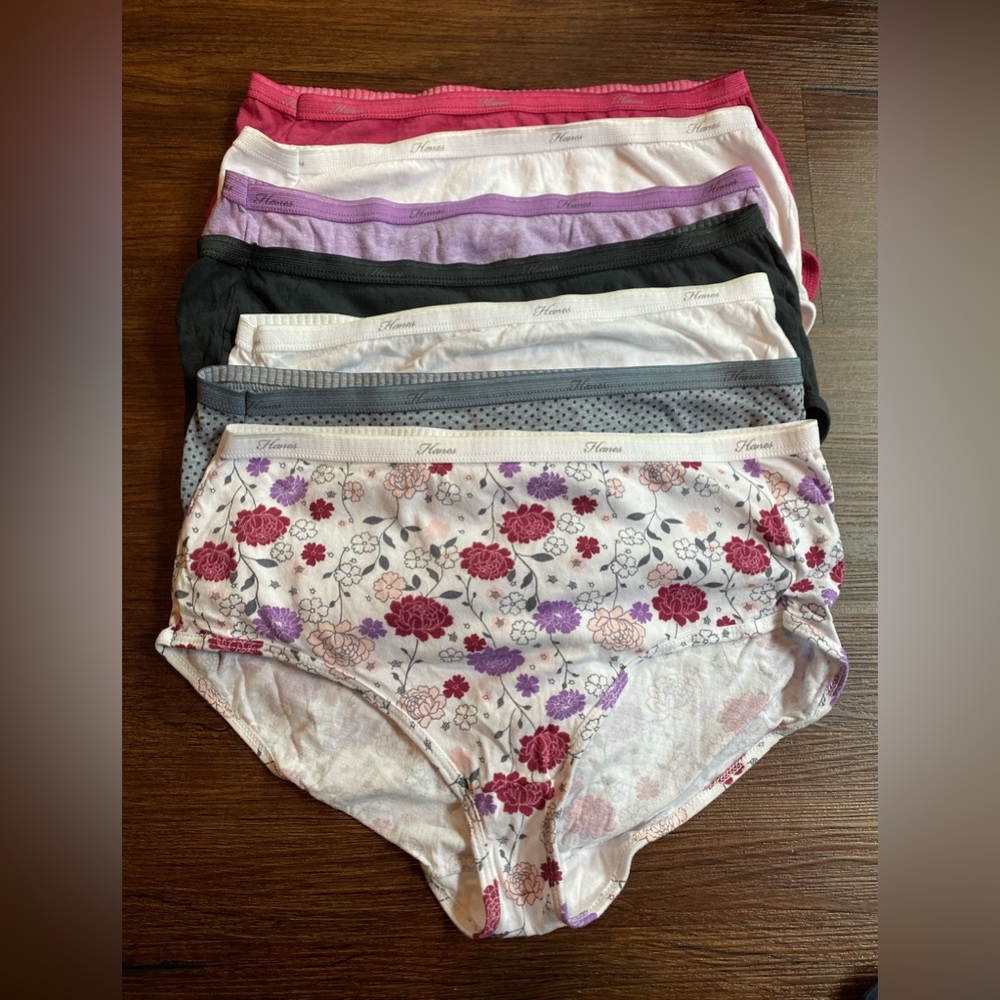 Hanes Brief Panties (Never Used)